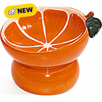 PawsPik Elevated Angled Ceramic Pet Bowl