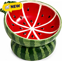 PawsPik Watermelon Elevated Angled Ceramic Pet Bowl