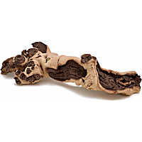 Zoo Med Aquatic Natural Mopani Wood