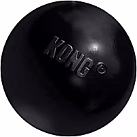 KONG Extreme Ball Dog Toy