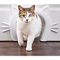 PetSafe Cat Door For Interior Doors