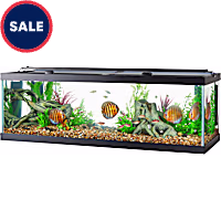Aqueon Standard Open-Glass Glass Aquarium Tank