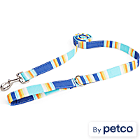 YOULY Blue & Orange Stripe Dog Leash