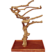 A&E Cage Company Large Java Wood Boxed Tree