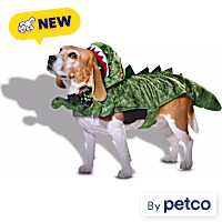 Petco Dinosaur Hooded Pet Halloween Costume