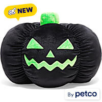 Petco Halloween Black Pumpkin Plush Dog Toy