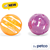 Petco Halloween Orange & Purple Rattle Ball Cat Toy