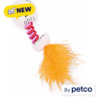 Petco Halloween Skeleton Spring Cat Toy