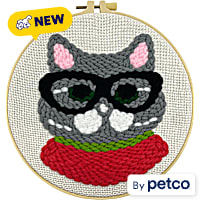 Petco Glasses Cat Punch Needle Kit
