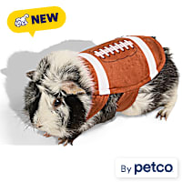 Petco Halloween Football Small Animal Costume