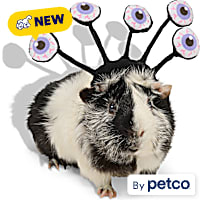 Petco Halloween Monster Small Animal Headpiece