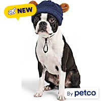 Petco Holiday Teddy Bear Ear Navy Pet Hat