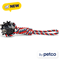 Petco Black/Red Rope Tug Spiky Ball Toy