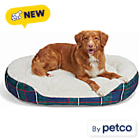 Petco Holiday Blue/Green Stripe Bolster Dog Bed