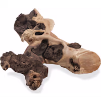 Zoo Med Mopani Driftwood