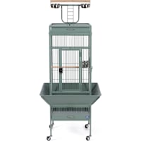 Prevue Pet Products Signature Select Series Wrought Iron Bird Cage in Sage