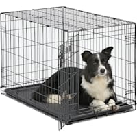 Midwest iCrate Single Door Folding Dog Crates