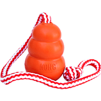 KONG Aqua Dog Toy