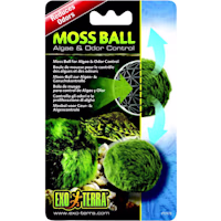 Exo-Terra Moss Ball