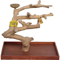 A&E Cage Company Table Top Java Tree Stand