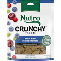 Nutro Crunchy Treats with Real Mixed Berries Dog Treats