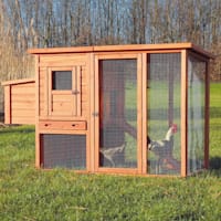 TRIXIE Natura Flat Roof Chicken Coop with Outdoor Run