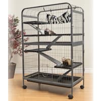 WARE Living Room Series Ferret Home