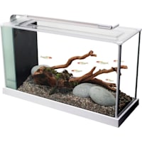 Fluval White Spec V Aquarium Kit