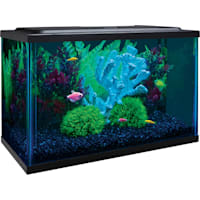 GloFish Aquarium Kit 5 Gallons Includes LED Lighting and Filter