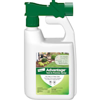 Advantage Elanco Yard & Premise Spray