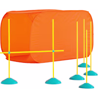 Outward Hound Indoor Dog Agility Kit