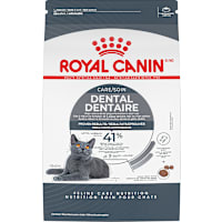 Royal Canin Feline Care Nutrition Dental Care Adult Dry Cat Food