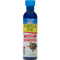 API Turtle Fix