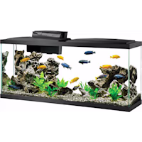 Aqueon 55 Gallon LED Aquarium Kit