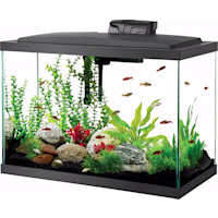 Aqueon LED Aquarium Kit 20 Gallon High