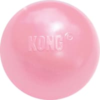 KONG Puppy Ball with Hole Assorted Dog Toy