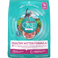 Purina ONE Healthy Kitten +Plus Formula High Protein Natural Dry Food