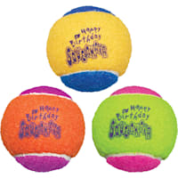 KONG SqueakAir Birthday Ball Dog Toy