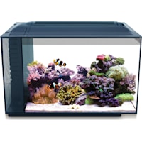 Fluval EVO XII Marine Aquarium Kit