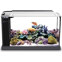 Fluval 5 Gallon EVO V Marine Aquarium Kit