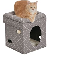 Midwest Curious Cube for Cat