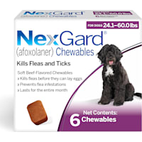 NexGard (afoxolaner) Flea and Tick Soft Beef Flavored Oral Chewables for Dogs 24.1 - 60 lbs. (Purple)