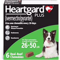 Heartgard Plus Chewable Tablets for Dogs 26 - 50 lbs. (Green)