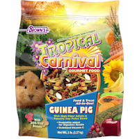 Brown's Tropical Carnival Guinea Pig Food