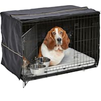 Midwest iCrate Double Door Starter Kit for Dogs