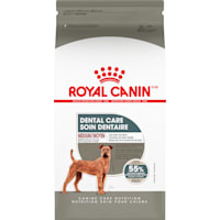 Royal Canin Canine Care Nutrition Medium Dental Care Adult Dry Dog Food