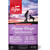 ORIJEN Grain Free Large, High Protein, Fresh & Raw Animal Ingredients Dry Puppy Food