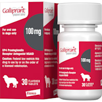 Galliprant 100 mg for Dogs