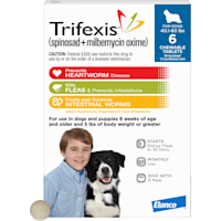 Trifexis Chewable Tablets for Dogs 40.1 to 60 lbs