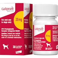 Galliprant 20 mg for Dogs